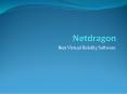 Netdragon- Virtual Reality Software for PC PowerPoint PPT Presentation