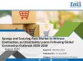 Sponge and Scouring Pads Market PowerPoint PPT Presentation
