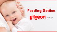 pigeonArabia