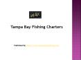 Slay The Bay Fishing-Tampa Bay Fishing Charters PowerPoint PPT Presentation