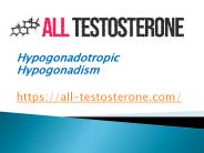 all-testosterone (3)