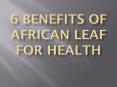 6 Benefits of African Leaf for Health PowerPoint PPT Presentation