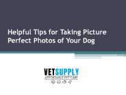 VetSupply (2)