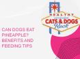 Can Dogs Eat pineapple? Benefits and Feeding Tips PowerPoint PPT Presentation