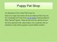 puppy pet shop PowerPoint PPT Presentation