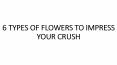 6 TYPES OF FLOWERS TO IMPRESS YOUR CRUSH PowerPoint PPT Presentation