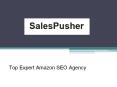 Top Expert Amazon SEO Agency - SalesPusher PowerPoint PPT Presentation