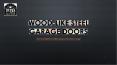 Wood-Like Steel Garage Doors PowerPoint PPT Presentation