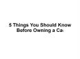 5 Things Every Cat Owner Knows Before Owning a Cat PowerPoint PPT Presentation