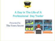 ForexSecret123 (32)