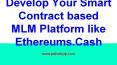 Where to Acquire the Ready-made Ethereums.Cash MLM Clone Script? PowerPoint PPT Presentation