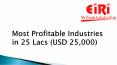 Most Profitable Industries  in 25 Lacs (USD 25,000) PowerPoint PPT Presentation