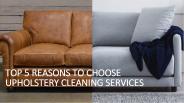 Top 5 Reasons to Choose Upholstery Cleaning Services