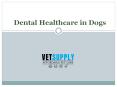 Dental Healthcare in Dogs PowerPoint PPT Presentation