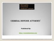 Criminal Defense Attorney