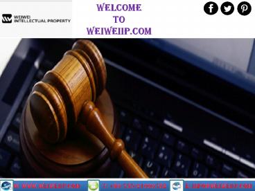 Intellectual Property Lawyer