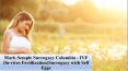Mark Semple Surrogacy Colombia - IVF (In-vitro Fertilization)Surrogacy with Self Eggs PowerPoint PPT Presentation
