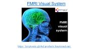 fMRI visual system