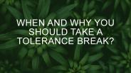 WHEN AND WHY YOU SHOULD TAKE A TOLERANCE BREAK?