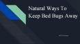 Natural Ways To Keep Bed Bugs Away PowerPoint PPT Presentation