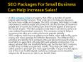 SEO Packages For Small Business Can Help Increase Sales! PowerPoint PPT Presentation