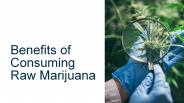 Benefits of Consuming Raw Marijuana