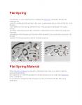 Flat Spring PowerPoint PPT Presentation