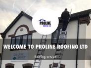 PROLINE ROOFING LTD Presentation (1)