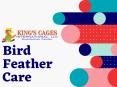 Bird Feather Care PowerPoint PPT Presentation