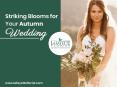 Lafayette Florist – Best Flowers for Your Fall Wedding PowerPoint PPT Presentation