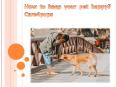 How to keep your pet happy? Care4pups PowerPoint PPT Presentation
