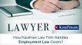 How Kaufman Law Firm Handles Employment Law Cases? PowerPoint PPT Presentation