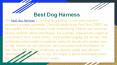 Best Dog harness PowerPoint PPT Presentation