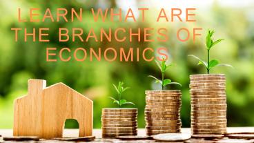 Learn What Are The Branches Of Economics