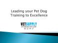 Leading your Pet Dog Training to Excellence PowerPoint PPT Presentation
