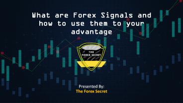 What are Forex signals and how to use