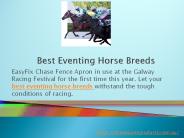 Elite Equine Products