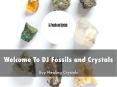 DJ Fossils and Crystals Presentation PowerPoint PPT Presentation
