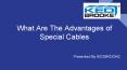 Leading Special Electrical Cable Suppliers in Dubai PowerPoint PPT Presentation