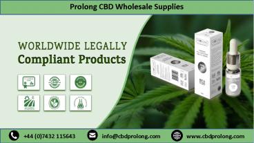 Prolong CBD Wholesale Supplies