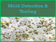 Mold Detection & Testing