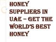 Honey Suppliers, Distributors, Wholesalers, and Manufacturers in Dubai, UAE PowerPoint PPT Presentation