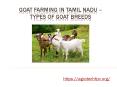 Tips for Investment in goat farming PowerPoint PPT Presentation