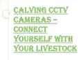 What are the Features of the Calving CCTV Cameras? PowerPoint PPT Presentation
