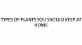 TYPES OF PLANTS YOU SHOULD KEEP AT HOME