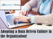Adopting a Data Driven Culture in the Organization!