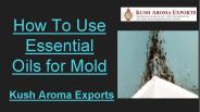 Best Essential Oils for Mold