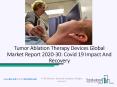 Tumor Ablation Therapy Devices Market Growth With Top Key Players, And Forecasts To 2023 PowerPoint PPT Presentation