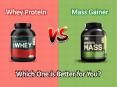 Whey Protein vs Mass Gainer: Which One Is Better for You? PowerPoint PPT Presentation
