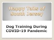 Dog Training During COVID-19 Pandemic
